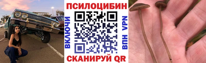 Галлюциногенные грибы ЛСД  Ачинск 